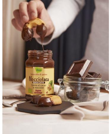 Rigoni di Asiago Nocciolata Organic Hazelnut Spread Dairy Free 9.52 oz (6 Count) | Buy Now - Buy Online on GoSupps.com