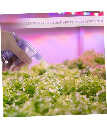 Hairdressing and Beauty Spray Pot 250ml Water Sparayer Lightweight No Odor for Salon Use Random Color - Buy Online on GoSupps.com