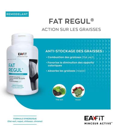 EAFIT Fat Regul Action on Fats 90 Tablets Synergistic Formula French Brand - Buy Online on GoSupps.com