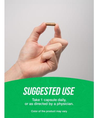 BulkSupplements.com Astragalus Capsules - from Astragalus Root Astragalus Supplement - Vegan 1 Capsule per Serving 240 Veg Capsules (Pack of 1) - Buy Online on GoSupps.com