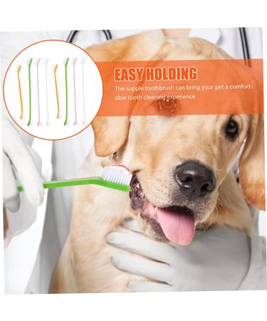 BESPORTBLE 16 Pcs Double Head Dog Toothbrush Pet Toothpaste Toothbrush for Dogs Small Dog Toothbrush Pp - Buy Online on GoSupps.com