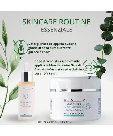 Greenlab Elicicoltura Soothing and cleansing facial mask green clay and snail slime Gaia 100 ml soft hydrated and radiant skin from the first use for all skin types of men and women - Buy Online on GoSupps.com
