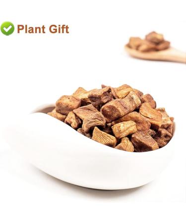 Flower 2 (180G-Chicory Root) - Buy Online on GoSupps.com