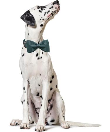 Buy Lionet Paw's Comfortable Silk Christmas Dog Collar with Removable Fly for XLarge Dogs (Neck 40-66cm) - Stylish Green 1 Pack - Buy Online on GoSupps.com