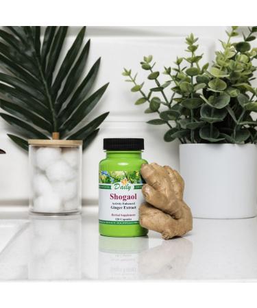 Daily Manufacturing 6-Shogaol (derived from 6-gingerol Non-GMO Ginger Extract) 120 Vegetarian Capsules - Buy Online on GoSupps.com