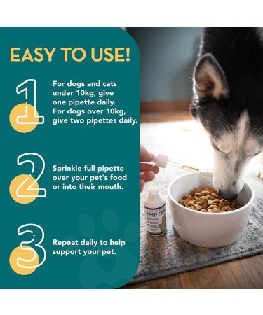 The Healthy Dog Co Joint Supplements for Dogs with Turmeric - 100ml - Buy Online on GoSupps.com