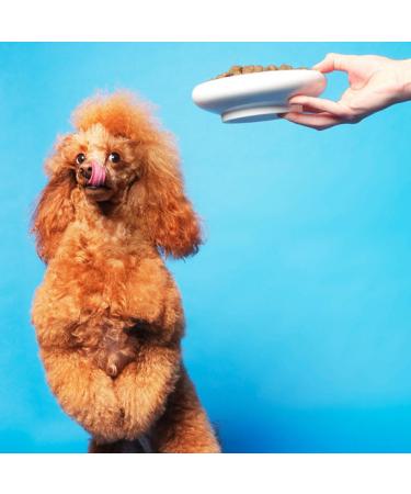 Pooch & Mutt Health & Digestion Complete Dry Dog Food Salmon and Sweet Potato Grain Free - 70.54 Oz - Buy Online on GoSupps.com