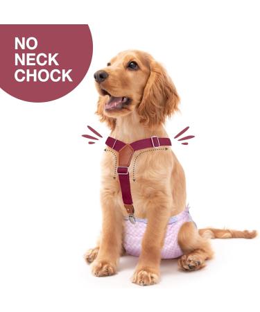 Buy Soft Dog Diaper Trousers 2 Pack Beige-Wine | Comfortable Dog Diaper Harness for Puppies | Pet Clothing for All Sizes - Buy Online on GoSupps.com