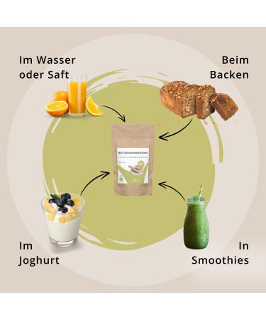 Vitacare Organic Psyllium Husk Powder 500g - 99% Purity Fiber-Rich Vegan & Gluten-Free Superfood for Digestive Health - Buy Online on GoSupps.com