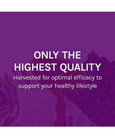 Fungi Perfecti MyCommunity 17 Mushroom Complex - 60 Veggie Caps for Immune Support - Buy Online on GoSupps.com