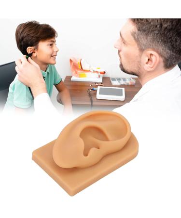 Soft Silicone Ear Model for Piercing Practice and Jewelry Display - Buy Online on GoSupps.com