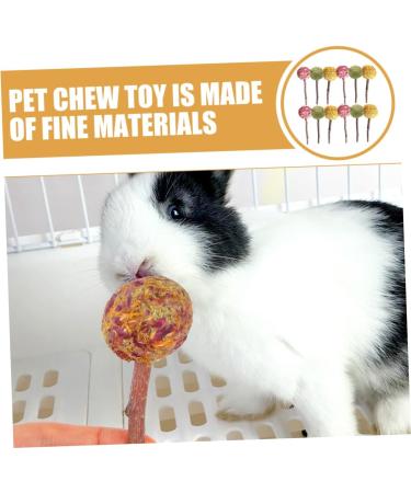 Sosoport 12pcs Pet Rabbit Snacks Rabbit Chewing Playthings Rabbit Biting Playthings Rabbit Chew Sticks Plant - Buy Online on GoSupps.com