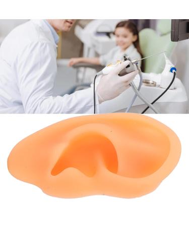 Simulated Left Ear Mould - Lifelike Fake Ear Model for Hospital Education - Buy Online on GoSupps.com