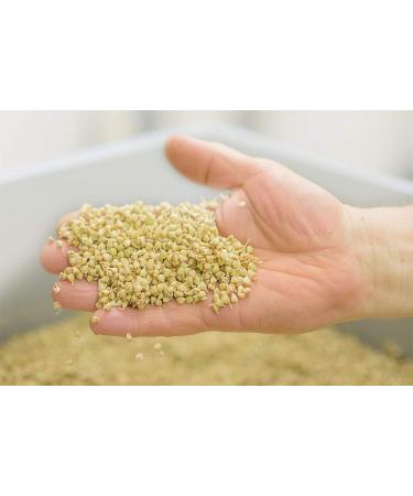 Organic Sprouted Buckwheat 1kg | Gluten-Free Sprouted Muesli | Alkaline Sprouted Grain - EU Quality - Buy Online on GoSupps.com