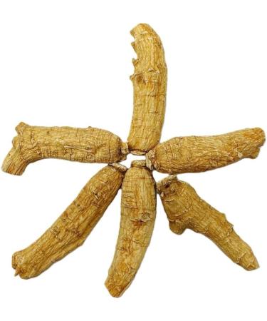Hand Selected A Grade American Ginseng Root Large Short (4 Oz. Box) - Buy Online on GoSupps.com
