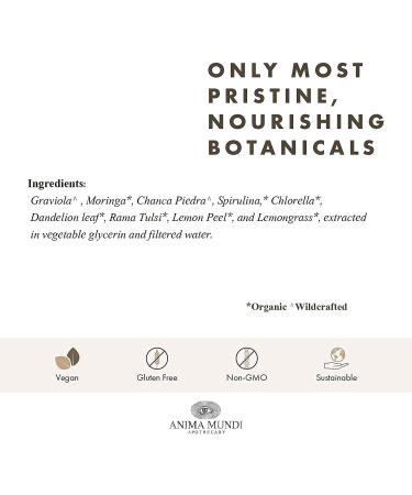 Anima Mundi Viridem Greens Detox Elixir - Natural GI & Liver Cleanse Liquid Supplement - 4oz Bottle - Buy Online on GoSupps.com