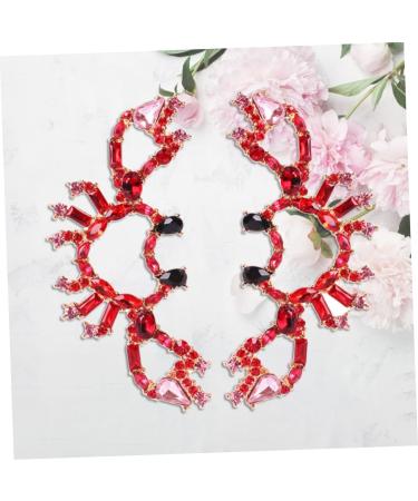 Zerodeko 2 Pairs Earrings for Women Orrous 925 Sterling Silver Earrings Women Jewelry Earrings Christmas Earrings Womens Earrings Post Earrings for Women Crystal Pendants Personality Miss - Buy Online on GoSupps.com