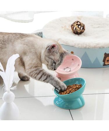 SWEEJAR Raised Ceramic Cat Bowl - 5 Inch Turquoise | Elevated Pet Dish for Dry Wet Food, Stress-Free Eating, Protects Cat's Spine | Dishwasher Safe - Buy Online on GoSupps.com