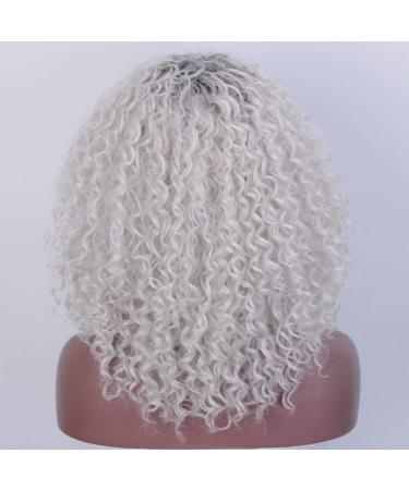 HBINGBING Synthetic Short Grey Wig for Women | Afro Kinky Curly & Brown Wigs | High Temperature Fiber - Buy Online on GoSupps.com