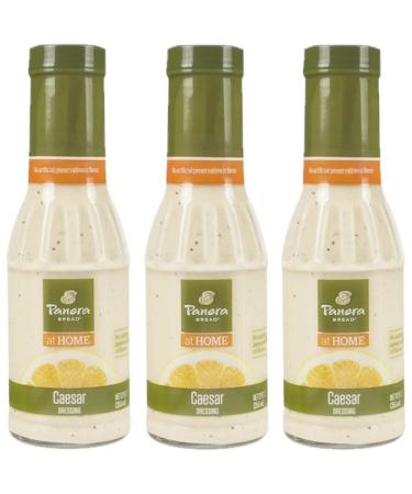 Panera Poppy Seed Salad Dressing - 12 oz - Pack of 3 - Buy Online on GoSupps.com