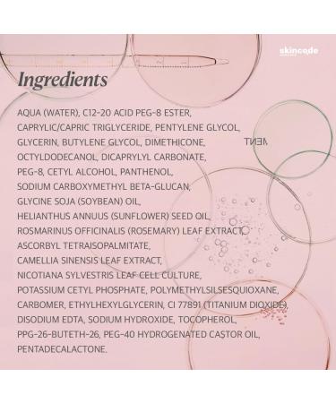 Skincode Essentials Regenerating Night Cream 50ml - Anti-Aging Moisturizer for Radiant Skin | Buy Internationally - Buy Online on GoSupps.com