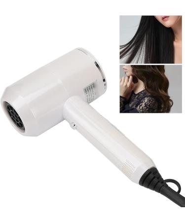 Negative Ion Hair Dryer Low Magnetic Nourishing Ionic Hair Dryer Professional High Speed 2000W for Travel (US Plug 110V) - Buy Online on GoSupps.com