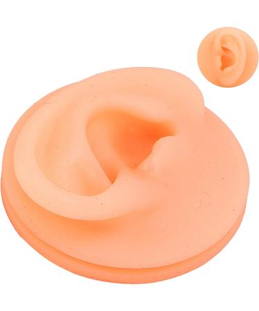 Buy Flexible Silicone Human Ear Model (Left) for Teaching & Demonstration - Ideal for eCommerce - Buy Online on GoSupps.com