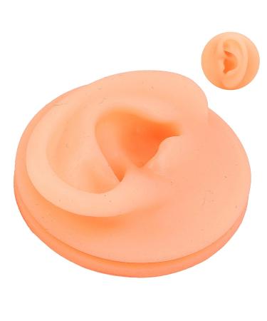 Ankroyu Silicone Ear Acupuncture Exercise Model - Reusable Left Ear Teaching Prop for Presentations - Buy Online on GoSupps.com