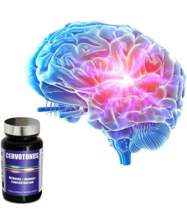 NUTRIEXPERT Cervotonus - Ginkgo Vitamin B Copper Zinc - Memory & Concentration - Support Cognitive Performance - Pack of 2 - Buy Online on GoSupps.com