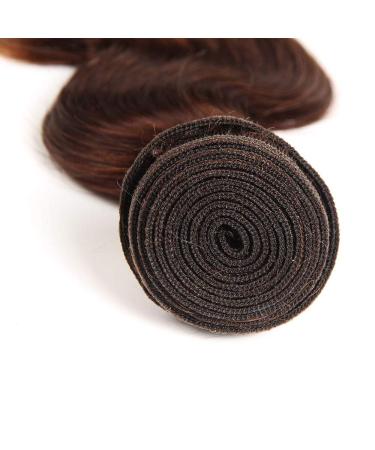 2 Tone Ombre Body Wave Hair 3 Bundles + 13x4 Lace Frontal | Brazilian Remy Virgin Human Hair Extensions | T4/30 Medium Brown/Auburn | 14 16 18+12 - Buy Online on GoSupps.com