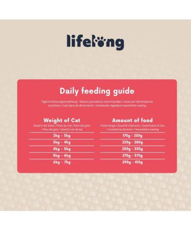 Amazon Brand Lifelong Cat Food - Beef Pate 100g (Pack of 16) - Premium International Shipping - Buy Online on GoSupps.com