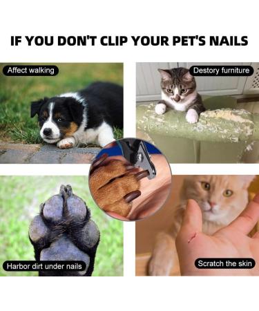Quick Safety Sensor Pet Dog Nail Trimmers & Clipper for Large & Medium Dogs - Professional Toenail Clippers with Nail File - Buy Online on GoSupps.com