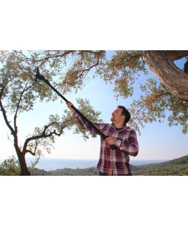 Buy Award-Winning Jordan Bio Olive Oil - 5L Greek Organic Olive Oil from Lesbos - Cold-Pressed & Handpicked - Buy Online on GoSupps.com