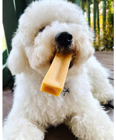 Super Himalayan Dog Chew-All Natural Hard Cheese Himalayan Dog Treats-Long Lasting Dog Yak Chews Made in Europe-Extra Large(XL) for Dogs 25-35 kg Extra Large(XL)-Dogs 25-35 kg - Buy Online on GoSupps.com