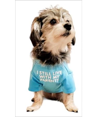 Cute Dog T-Shirt for Medium & Small Dogs - Breathable Pet Costume for Puppies & Cats (S-(48lb) Chest14 Aqua) - Buy Online on GoSupps.com