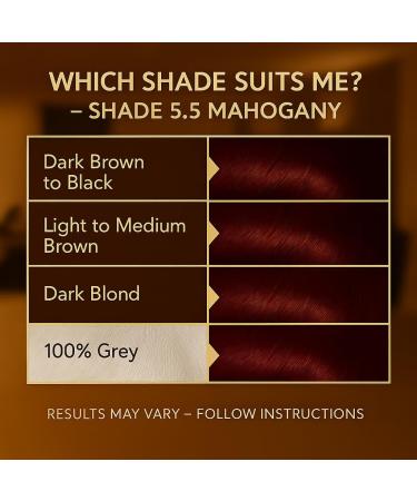 BIONDA Professional Permanent Hair Coloring Color Cream 55 Mahogany 200ml Double pack Keratin & Moringa Care Longlasting intensive color with shine 100 gray coverage - Buy Online on GoSupps.com