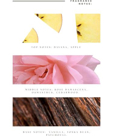 Kassa Aromas Home Luxury Scents - Hotel Collection Oils- Elixir Absolute Essential Oil - 115 ml - Buy Online on GoSupps.com