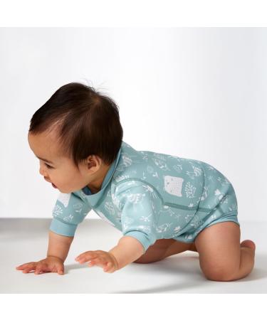Splash About Happy Nappy Wetsuit with Reusable Swim Nappy - Sunny Bear (6-14 Months) - Buy Online on GoSupps.com
