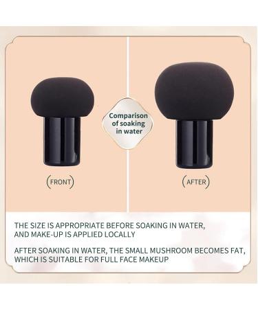 Mushroom Head Air Cushion CC Cream - Brightening Foundation & Concealer for Women | Moisturizing Makeup | Global Shipping - Buy Online on GoSupps.com