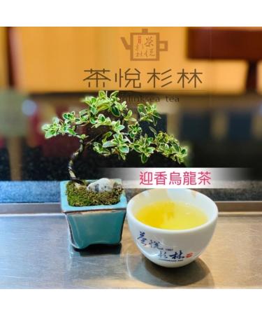 Taiwan unique tea TTES No.20(Yingxiang) Shanlinxi Alpine Oolong Tea 150g*4 - Buy Online on GoSupps.com
