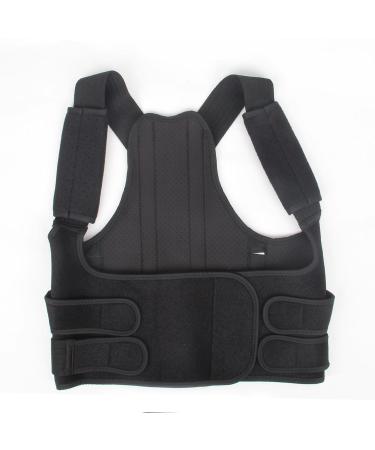 Adjustable Back Support Brace Posture Corrector for Men and Women - Upper Back Straightener for Neck, Shoulders, and Lumbar - Size M - Buy Online on GoSupps.com