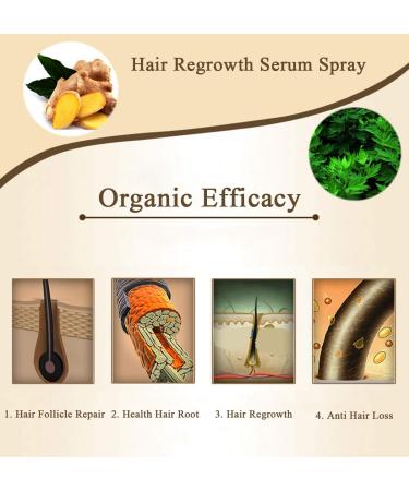 Wild Growth Hair Oil & Ginger Hair Growth Serum for Men and Women - Natural Hair Loss Treatment and Accelerator for Stronger, Thicker Hair - Beard Growth Product (3pcs) - Buy Online on GoSupps.com