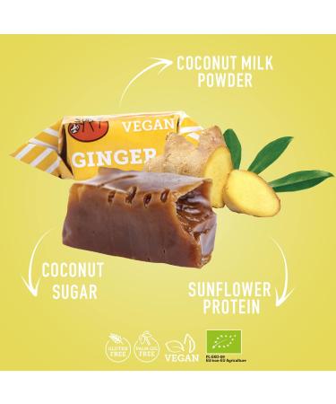 Super Fudgio Organic Ginger Candies - Vegan & Gluten-Free Caramel Treats | 6x150g Multipack | No Palm Oil - Made with Organic Coconut Milk & Coconut Sugar - Buy Online on GoSupps.com