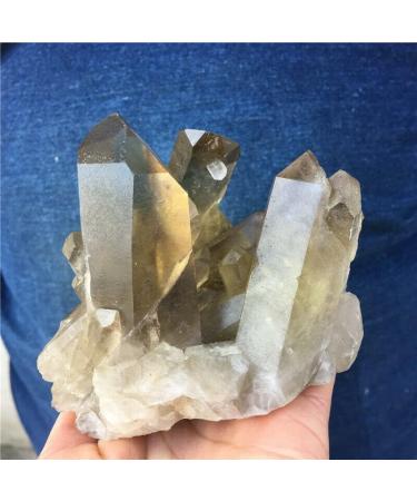 1.38LB Natural Smoky Citrine Quartz Cluster Crystal Specimen DB3300 Crystal Cluster - Buy Online on GoSupps.com