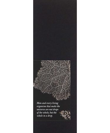 Skin Regimen Multi-Action Lift Eye Cream - Revitalize and Firm Your Eye Area - Buy Online on GoSupps.com