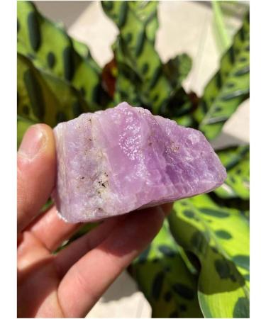 Natural raw kuzite Stone Natural Crystal 1030g Raw Stones and Minerals - Buy Online on GoSupps.com