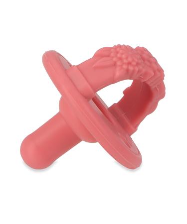 Nuby 3-D Sili Soother Pacifiers with Soft Handle and Two Safety Air Holes 2 Pack 0+ Months Purple Bow and Pink Flowers - Buy Online on GoSupps.com
