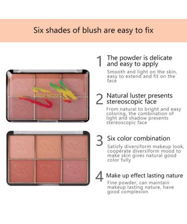 Go Ho 6-Color Face Blush Palette Light Matte Contour Makeup Kit - Set with Brush - Buy Online on GoSupps.com
