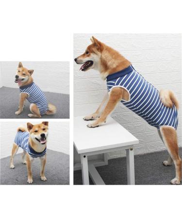 WPCASE DOG Professional Recovery Suit - Surgical Support Shirt for Dogs | E-Collar Alternative for Belly Wounds | Blue Size M - Buy Online on GoSupps.com