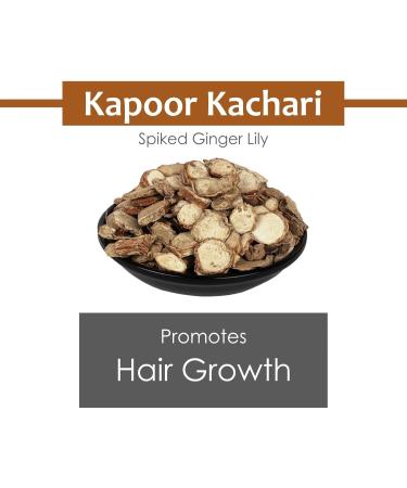 NN Kapoor Kachari Powder 100g - Buy Online on GoSupps.com